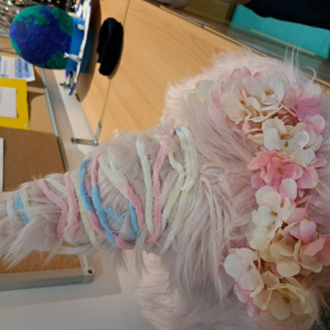 20260115_084034 Custom