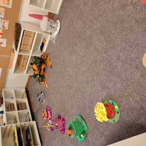 20260115_084231 Custom