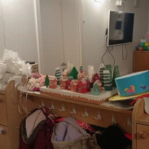 IMG_20260115_084212 Custom