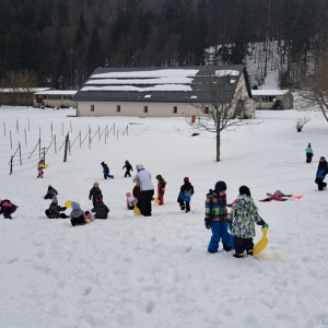 WhatsApp Image 2026-01-16 at 14.09.45 (2)