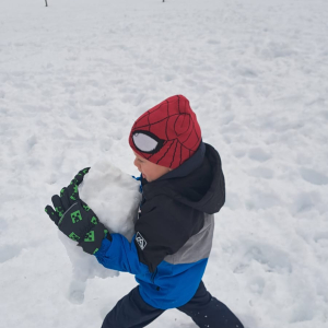 WhatsApp Image 2026-01-16 at 14.09.45