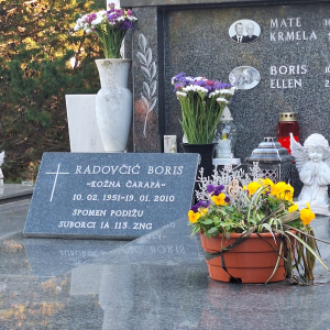 WhatsApp Image 2026-01-18 at 15.31.37