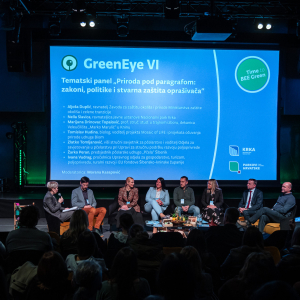 green eye dan 1 (35)