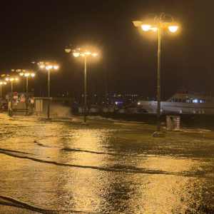 Plima jugo (11 of 12)