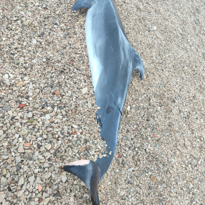 WhatsApp Image 2026-02-05 at 10.12.08 (2)