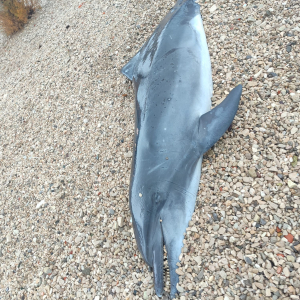 WhatsApp Image 2026-02-05 at 10.12.08 (3)