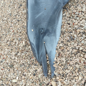 WhatsApp Image 2026-02-05 at 10.12.08 (4)