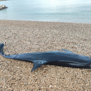 WhatsApp Image 2026-02-05 at 10.12.08