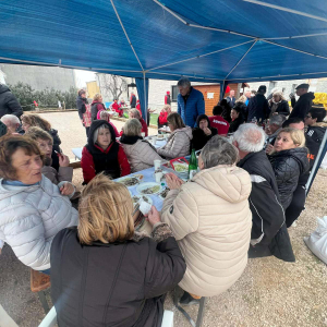 736a0163-fa47-46e6-8019-ca9bdc7f755e