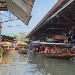 WhatsApp Image 2026-02-17 at 17.39.49