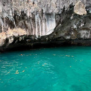 WhatsApp Image 2026-02-17 at 17.39.50 (12)