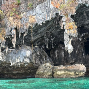 WhatsApp Image 2026-02-17 at 17.39.50 (13)