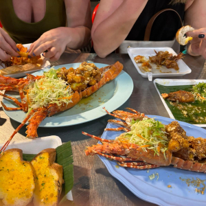 WhatsApp Image 2026-02-17 at 17.39.50 (18)