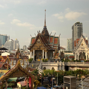 WhatsApp Image 2026-02-17 at 17.39.50 (2)