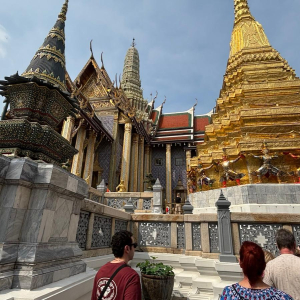 WhatsApp Image 2026-02-17 at 17.39.50 (4)