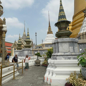 WhatsApp Image 2026-02-17 at 17.39.50 (5)