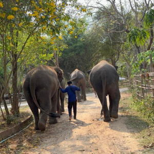 WhatsApp Image 2026-02-17 at 17.39.50