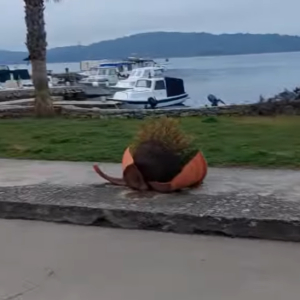 2026-03-02 13_41_02-Mailbird