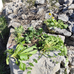 649466080_1353587953467504_8944806266962951079_n