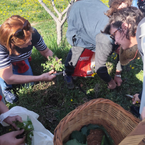 649589437_1353587573467542_23254357987946174_n