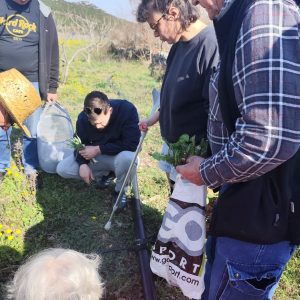 649885757_1353587170134249_4430011516750475015_n