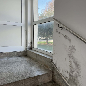 WhatsApp Image 2026-03-10 at 14.55.59