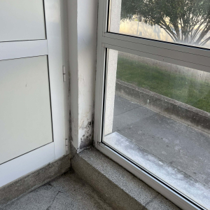 WhatsApp Image 2026-03-10 at 14.56.00