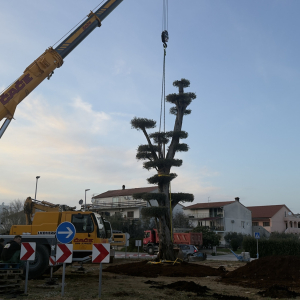 20260311_164151736_iOS