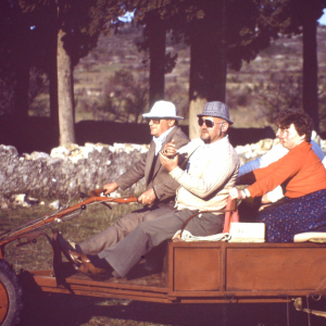 Kopie von Glazba Vodice114