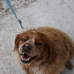 WhatsApp Image 2026-03-22 at 18.58.16