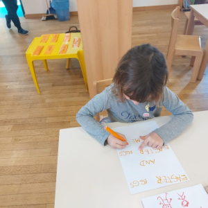 107292ec-a184-4a31-b2ac-301b01cf2877 Custom