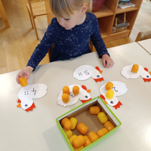 1775112986191 Custom