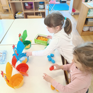 1775112986214 Custom