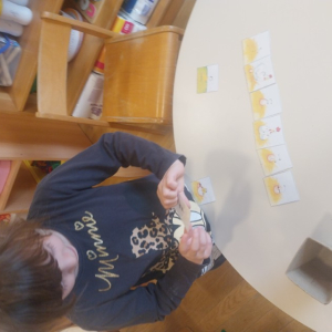 20260402_091105 Custom