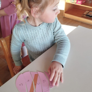 IMG-20260402-WA0024 Custom