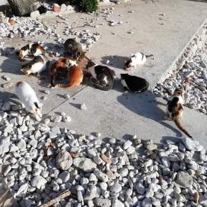 WhatsApp Image 2026-04-22 at 15.37.54