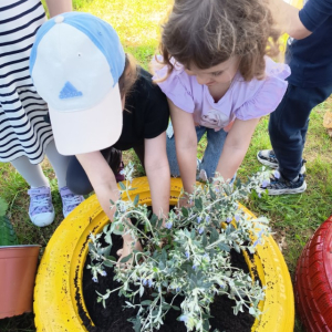 IMG_20260420_101429 Custom