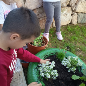 IMG_20260420_101502 Custom