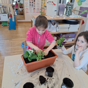 IMG-20260420-WA0030 Custom