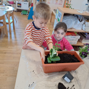 IMG-20260420-WA0032 Custom