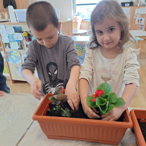 IMG-20260420-WA0034 Custom