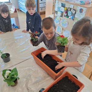 IMG-20260420-WA0035 Custom