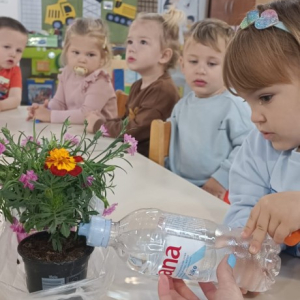 IMG-20260422-WA0005 Custom