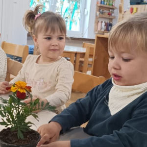 IMG-20260422-WA0006 Custom