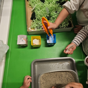 IMG-20260422-WA0012 Custom