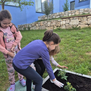 PHOTO-2026-04-21-19-47-54 2 Custom