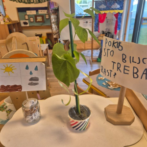 PHOTO-2026-04-22-08-09-51 Custom