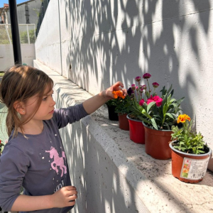 PHOTO-2026-04-22-08-43-10 1 Custom