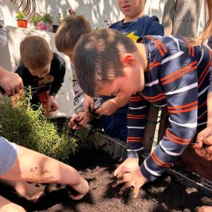 PHOTO-2026-04-22-08-43-10 2 Custom