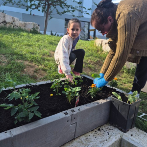 PHOTO-2026-04-22-09-07-34 2 Custom